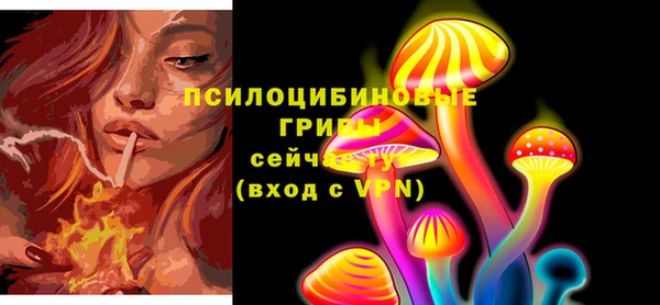 индика Дмитров