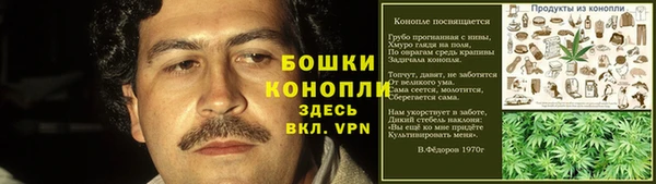 молекула духа Гусев