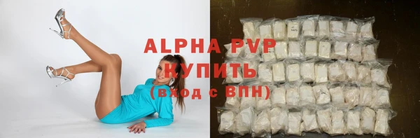 молекула духа Гусев