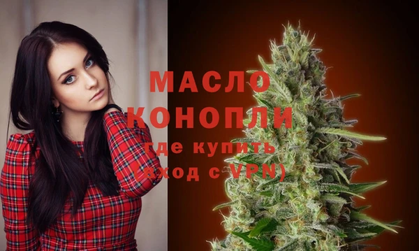 молекула духа Гусев