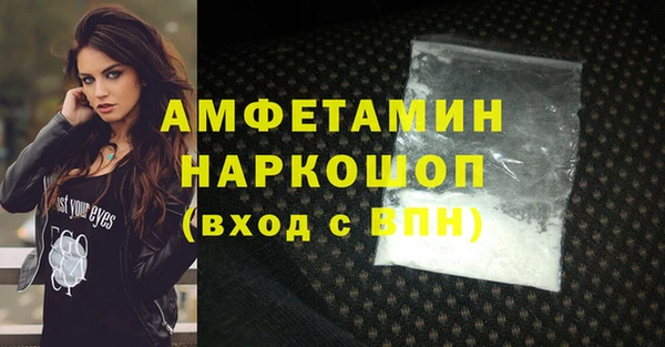 молекула духа Гусев