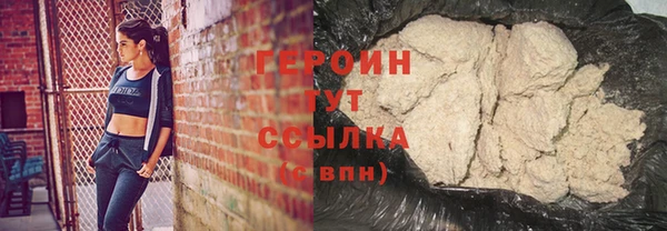 индика Дмитров