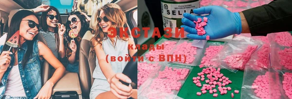 индика Дмитров
