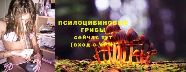 MDMA Дмитриев