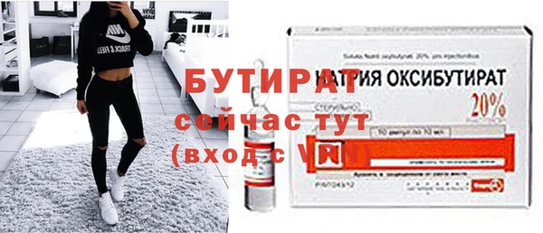 индика Дмитров