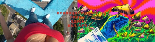 МДПВ Гусиноозёрск