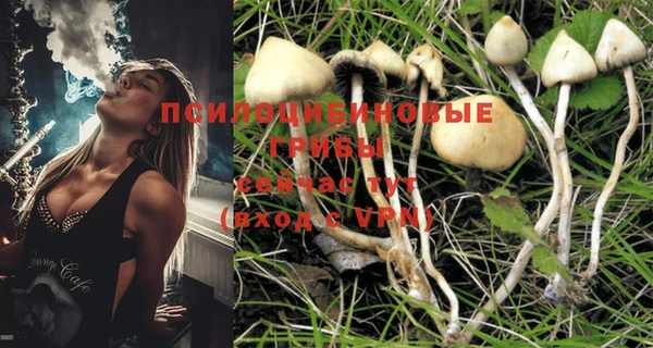 MDMA Дмитриев