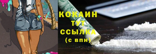 крисы Гусь-Хрустальный